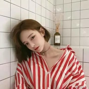 鲸之歌